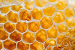 miele di manuka contro i super batteri