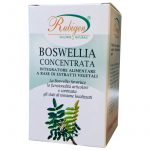 Boswellia Concentrata in Capsule