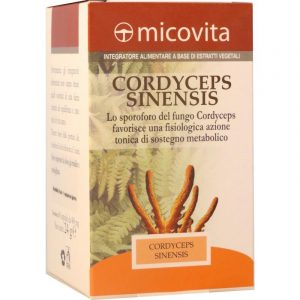Cordyceps Sinensis Capsule
