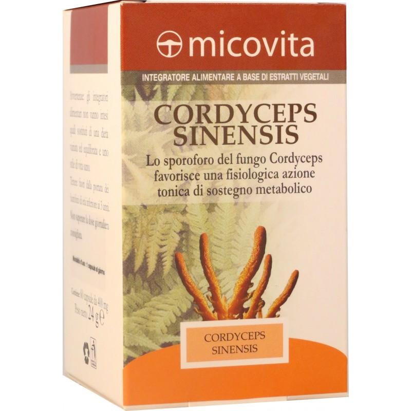 Cordyceps Sinensis Capsule