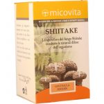 Shiitake Compresse Fungo Medicinale