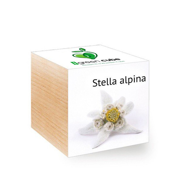 igreen cube Stella Alpina